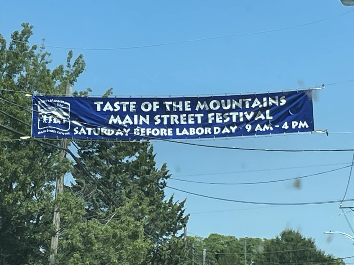 Taste of the Mountains Main Street Festival